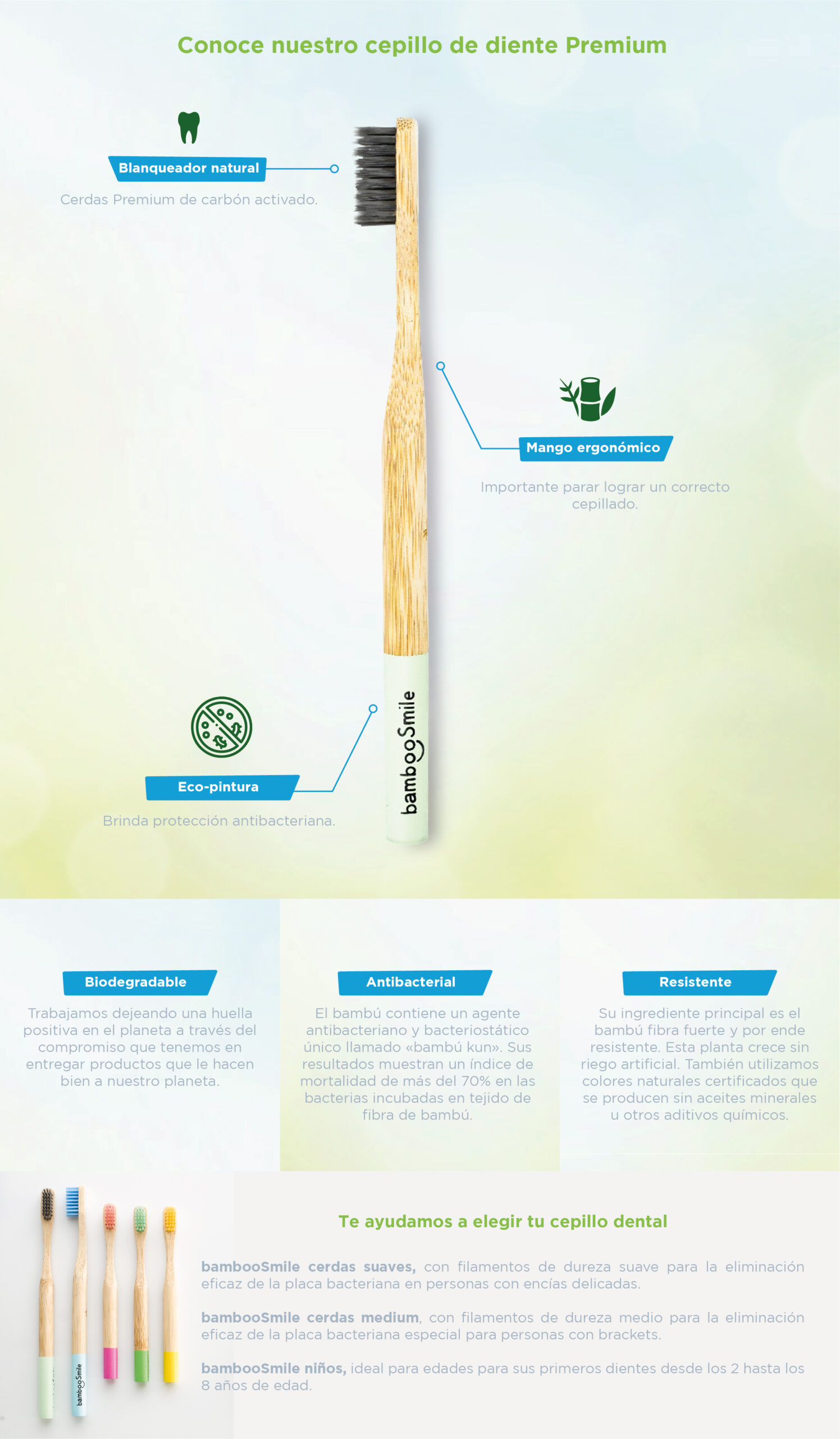 cepillos de dientes de bambu bambooSmile